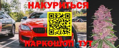 сатива Бузулук