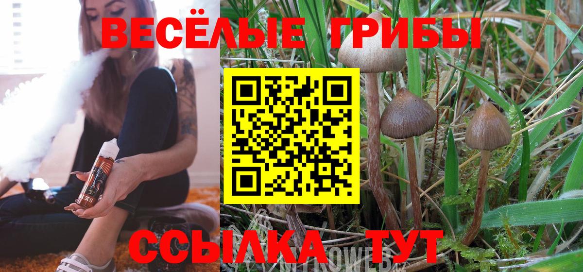 Галлюциногенные грибы мицелий Салехард