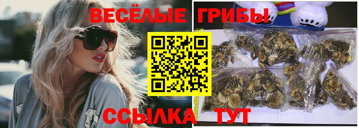Псилоцибиновые грибы ЛСД  Псилоцибиновые грибы Cubensis  Вход с VPN  Салехард 